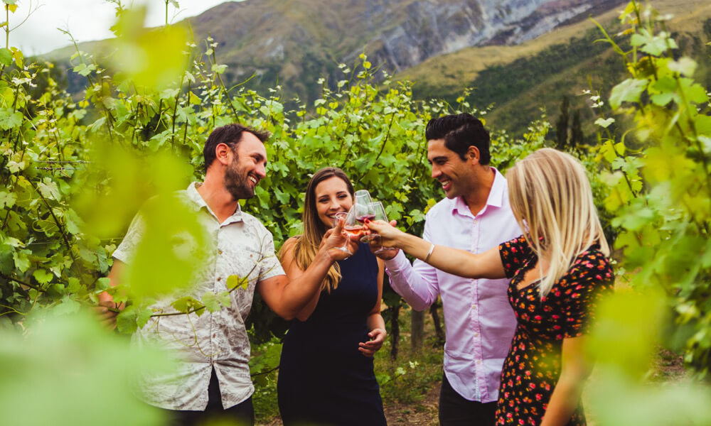 6 Hour Wine Sampler Day Tour