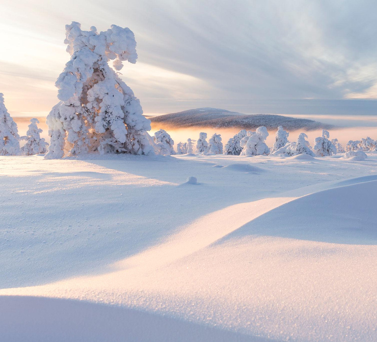 Winter Snowshoeing in the Finnish Wilderness