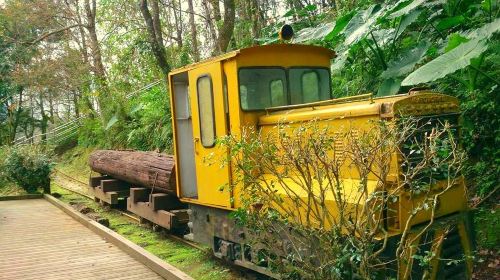 Chinan National Forest Recreation Area - HolidaySG