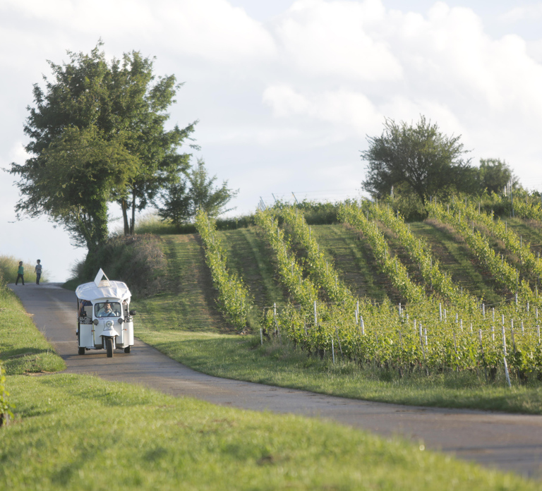 Geneva: Vineyard Tour & Wine Tasting by TukTuk