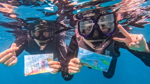 Penghu Islands diving and snorkeling experience 2 hours [Poseidon Undersea Mailbox Snorkeling Experience | Undersea Mailbox Postcard]