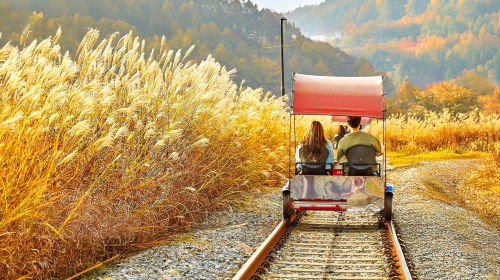 From Seoul: Nami Island & Rail Bike & Gyeonggi Sheep Ranch Day Tours