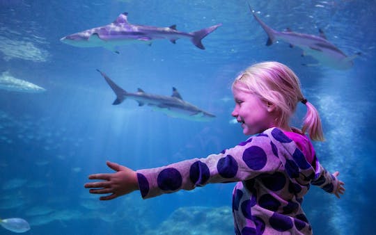 SEA LIFE Oberhausen Tickets