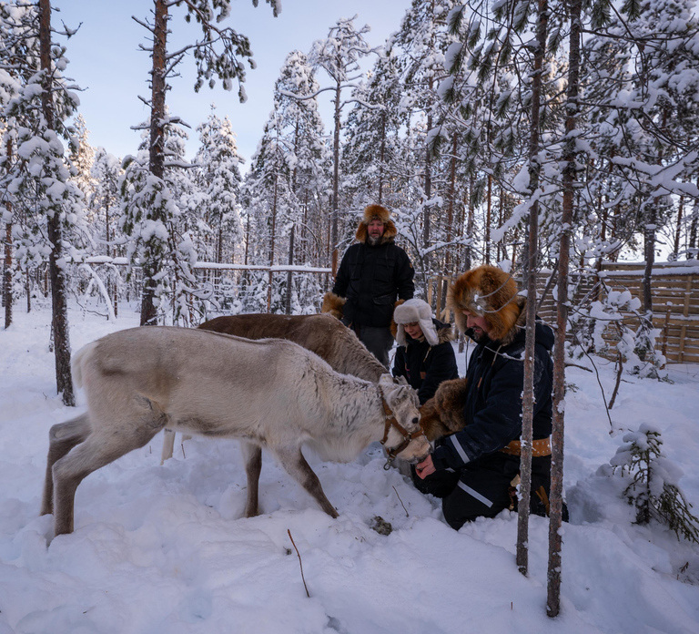 Ranua: Lupland Activity Park Entry with Reindeer Experience