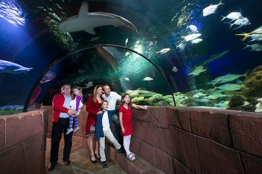 SEA LIFE Hanover tickets