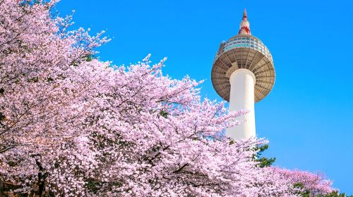 All kinds of translators, local Guide , chartered private charter transfers, filming translations, business translations, medical consultation translations, customized travel itineraries Day Tours