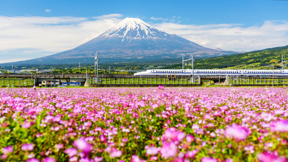 Japan Rail Pass for Whole Japan - Delivery Coverage: Indonesia only - HolidaySG