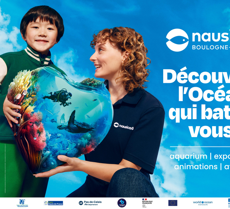 Nausicaá National Sea Center: Full-Day Entry Ticket