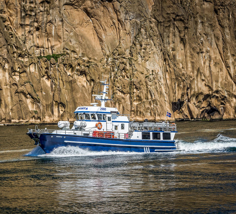 Vestmannaeyjar: Heimaey Island Round Boat Tour