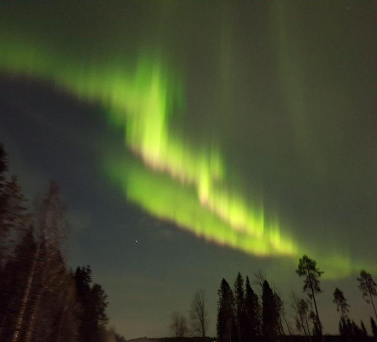 Vuokatti: Northern Lights Snowshoeing Adventure