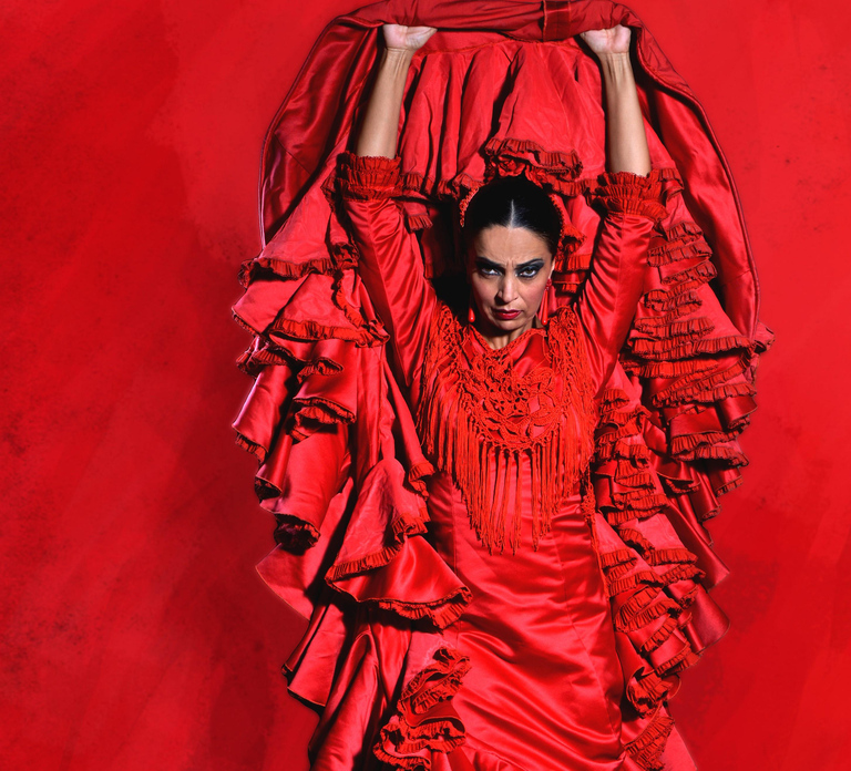 Seville: Live Flamenco Dancing Show Ticket at the Theater
