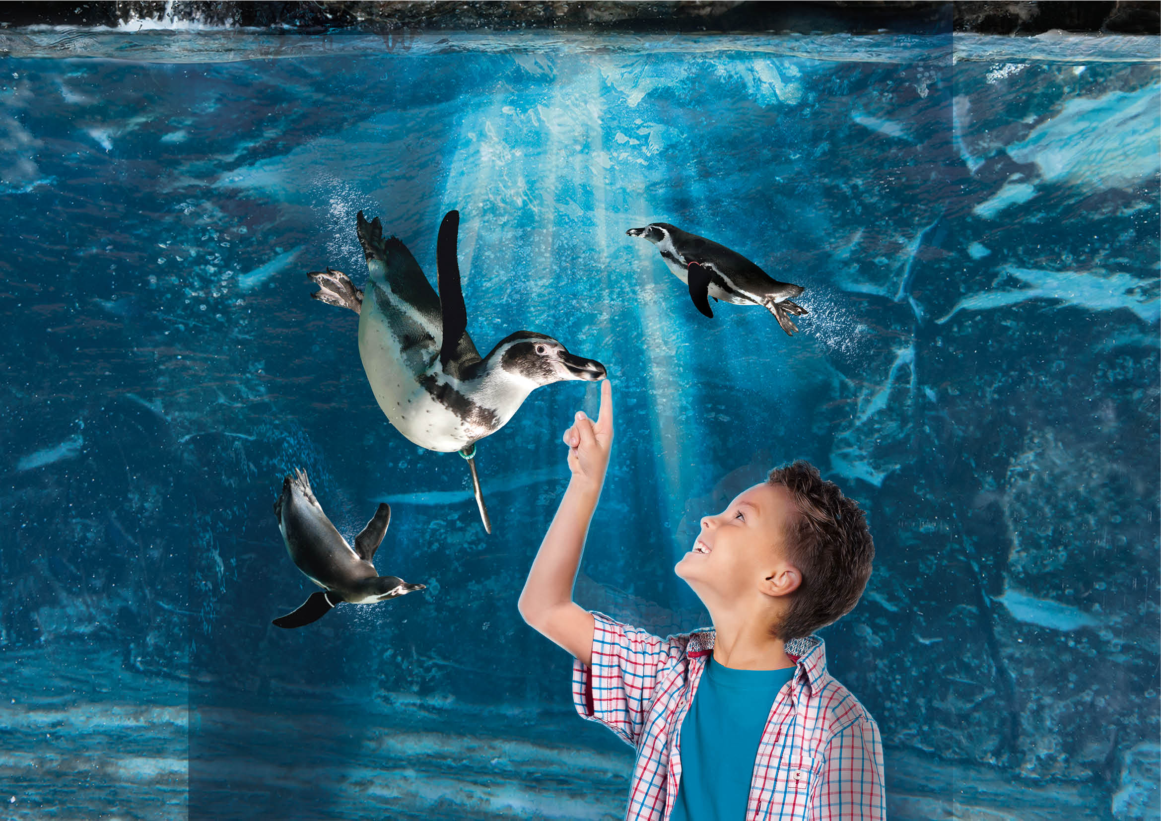 Aquarium of Cattolica: Fast Track Ticket - HolidaySG