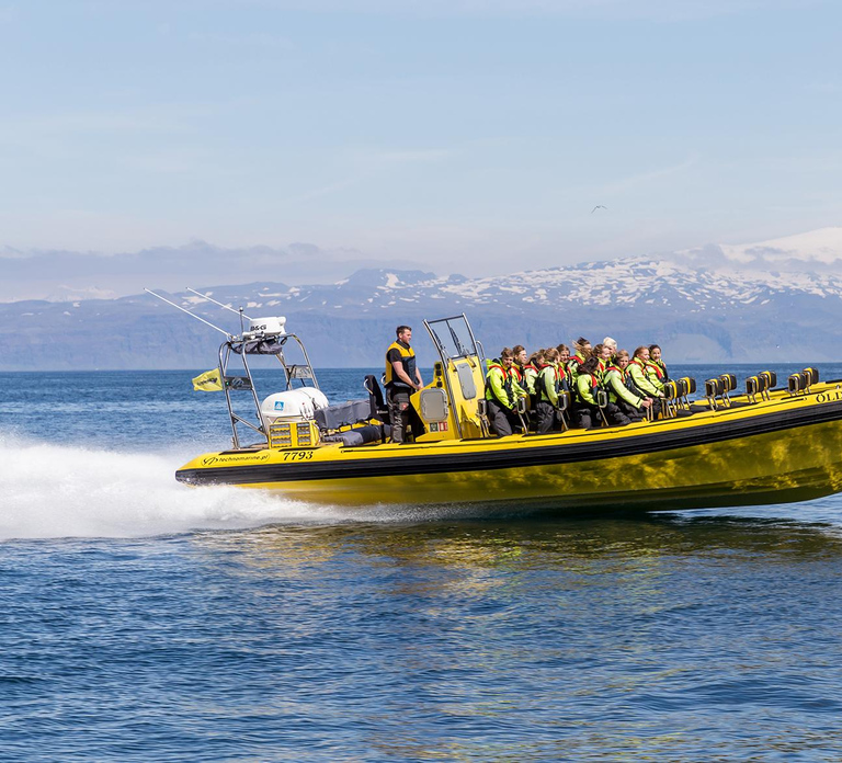 Vestmannaeyjar: 2 hour RIB boat Tour
