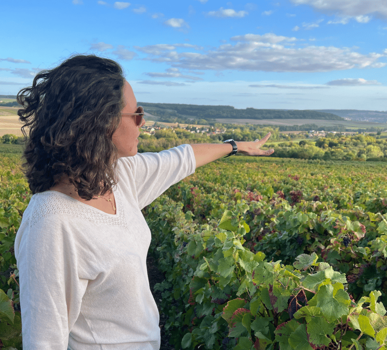From Paris: Wine Day trip to SANCERRE w 10 Tastings & Lunch