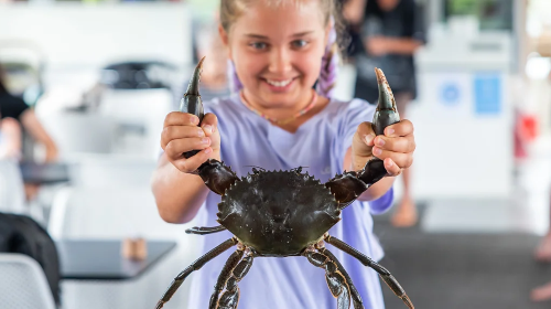 Gold Coast Tweed River Crab Catching Tour [Tweed River Fishing + Oyster Farm]