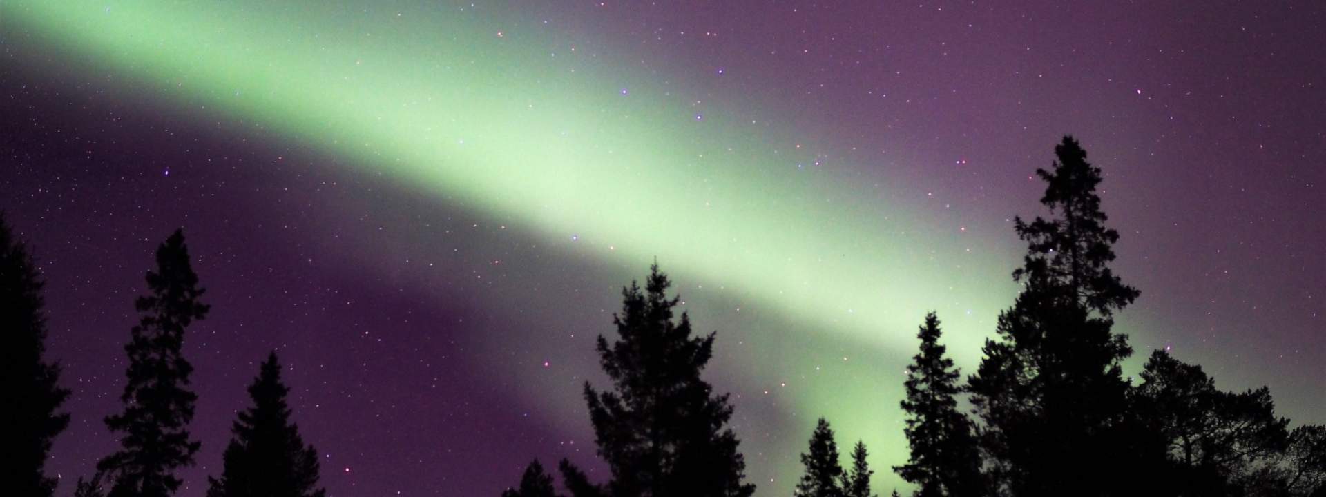 Northern Lights Snowshoe Experience in Lulea