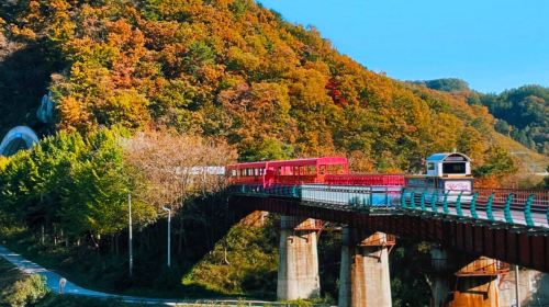 Seoul South Korea Train & Rail Guide 2026: Scenic Journeys & Getting Around by Rail
