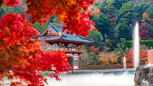 Osaka Katsuo-ji & Otagi Nenbutsu-ji Temple & Arashiyama hiking 1-day tour (Spirited Away inspired) Day Tours