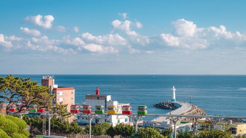 Max Out Busan: 9 Highlight Top Attractions One Day Tour (with Blueline Park Sky Capsule and Yatch Tour)
