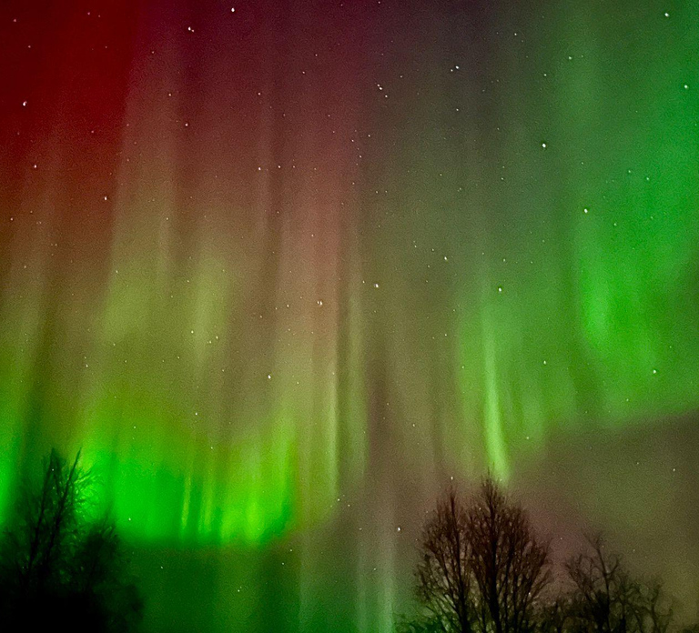 Inari/Ivalo: Aurora Hunting Tour by Car with Warm Drinks