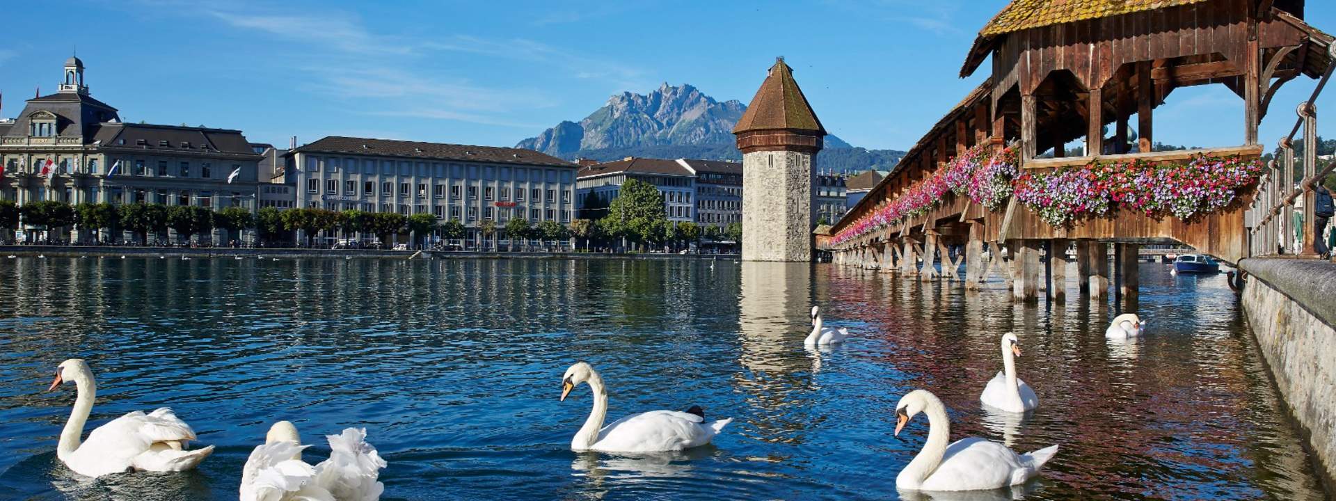 Lucerne City Tour and Yacht Cruise from Zürich