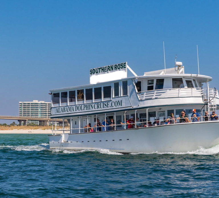 Orange Beach: Dolphin Cruise