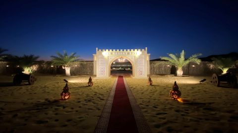 The Ultimate Safari Experience & BBQ dinner - Dubai