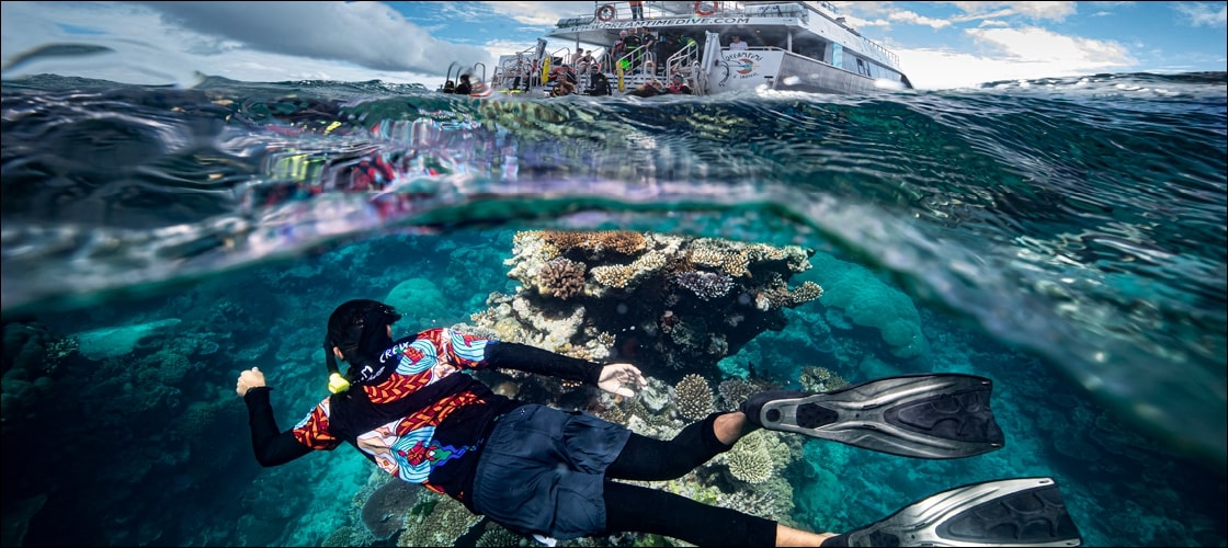 Dreamtime Dive from Reef Fleet Terminal - HolidaySG
