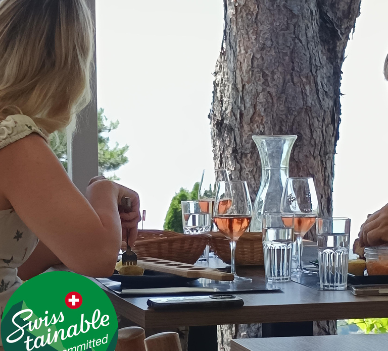 Wine tour in the canton of Vaud - Lavaux vineyards