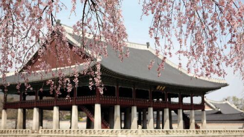 City Light and Shadow Day & Night | Gyeongbokgung Palace & Bukchon & Gwangjang Market & Naksan Park Day Tours