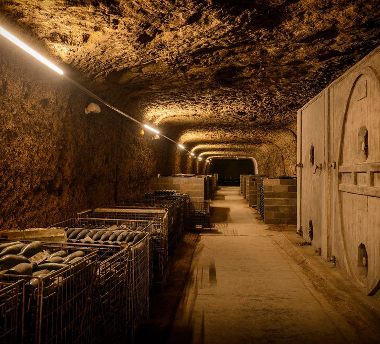 Amboise: Caves Ambacia Visit and Wine Tasting - HolidaySG