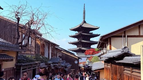 A day trip to Kyoto's ancient architecture, Nara Park with adorable deer, and Fushimi Inari Shrine. Day Tours