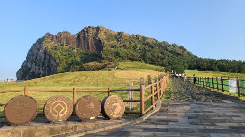 Jeju East Coast|Seongsan Ilchulbong X Seopjikoji X Haenyeo Museum X Snoopy Park Day Tours