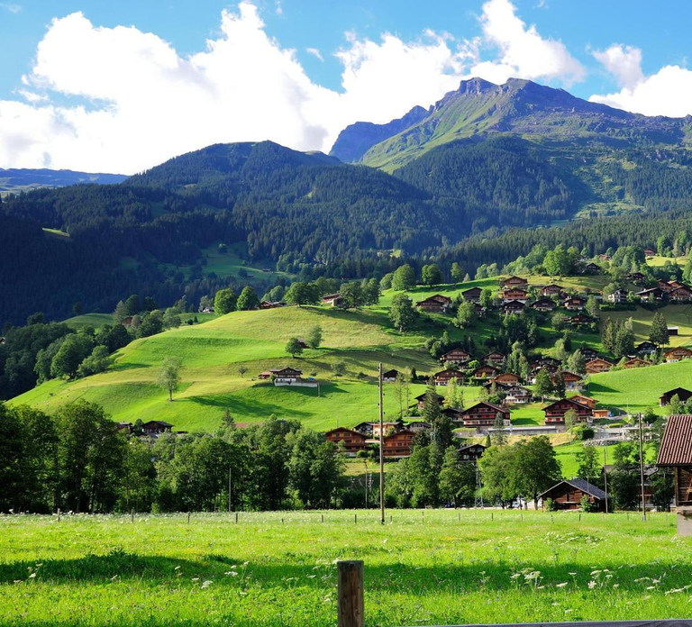 Lucerne: Interlaken and Grindelwald Swiss Alps Day Trip