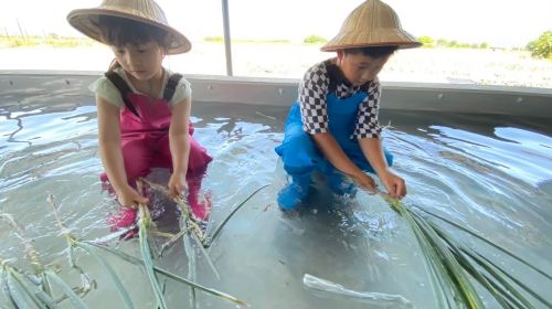 Chumi Experience Farm - HolidaySG