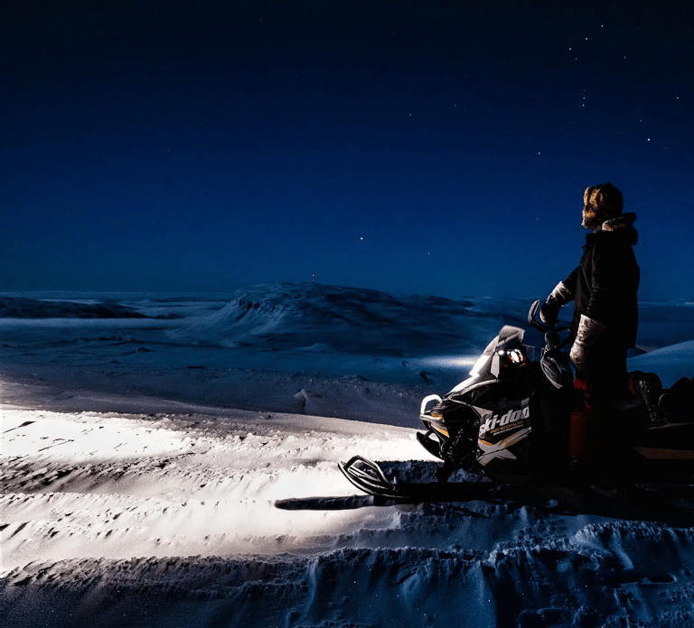 Rovaniemi: Northern Lights Snowmobile Safari with Campfire