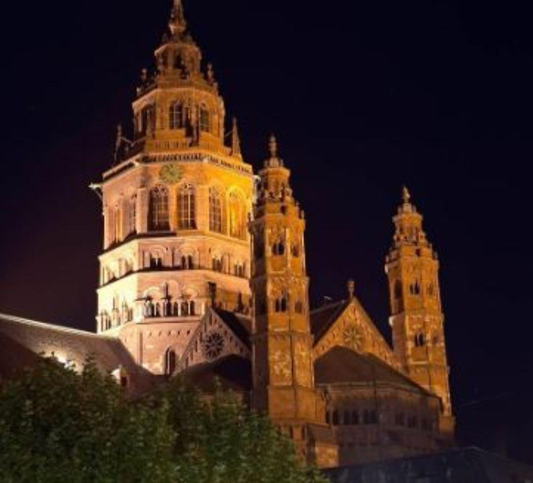Mainz: guided evening tour of the Rhine riverbank/old town in German and English