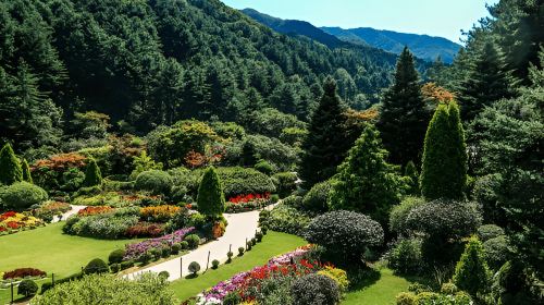 Fairytale Day Trip from Seoul: Nami Island, Garden of Morning Calm & European Villages Day Tours