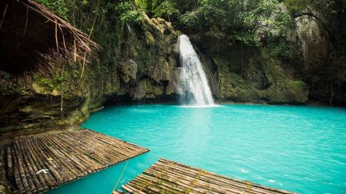 1-day tour to Oslob whale sharks + Kawasan Falls canyoneering in Cebu, Philippines Day Tours - HolidaySG