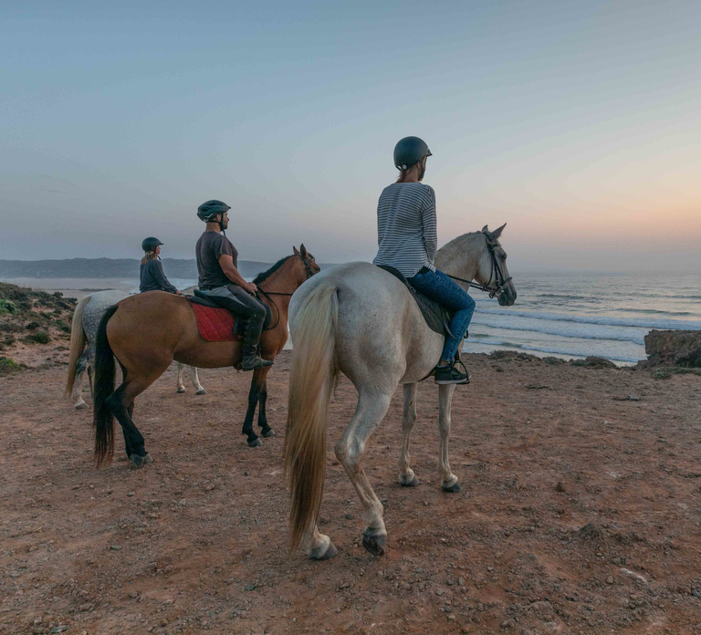Algarve: Horse Riding Beach Tour at Sunset or Morning