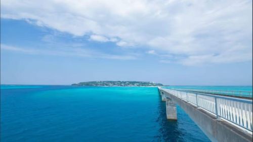 Naha: North Okinawa Sightseeing Tour & Churaumi Aquarium Day Tours