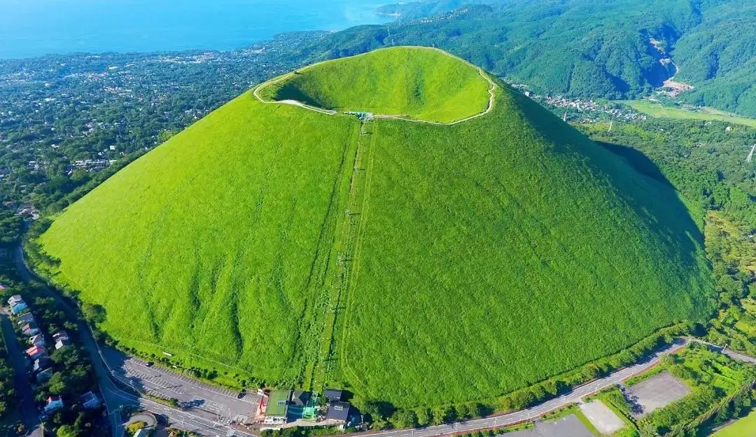 One day tour in Izu: Atami Sunshine Coast Road, Jogasaki Coast, and Izu Omuroyama Day Tour|Tokyo