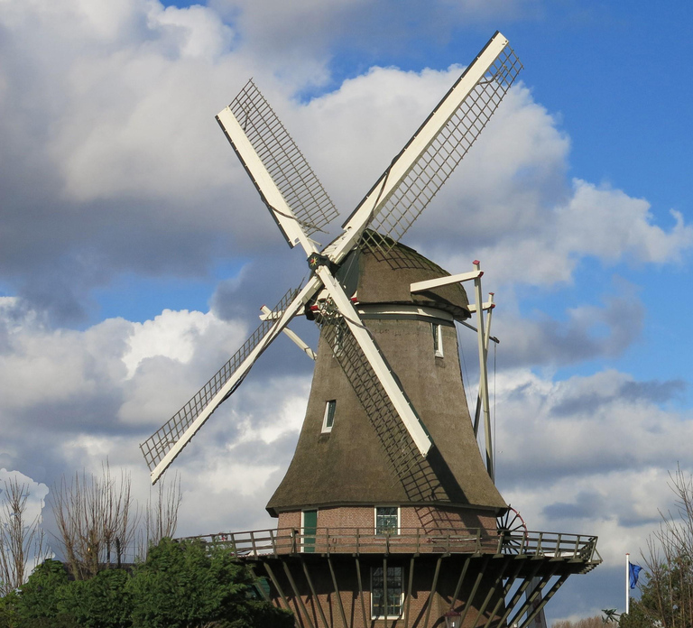 Amsterdam: Windmill Guided Tour