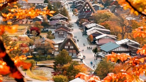 Nagoya Shirakawa-go Gassho Village & Hida Takayama 1-Day Tour | Hidden Gem Adventure Day Tours
