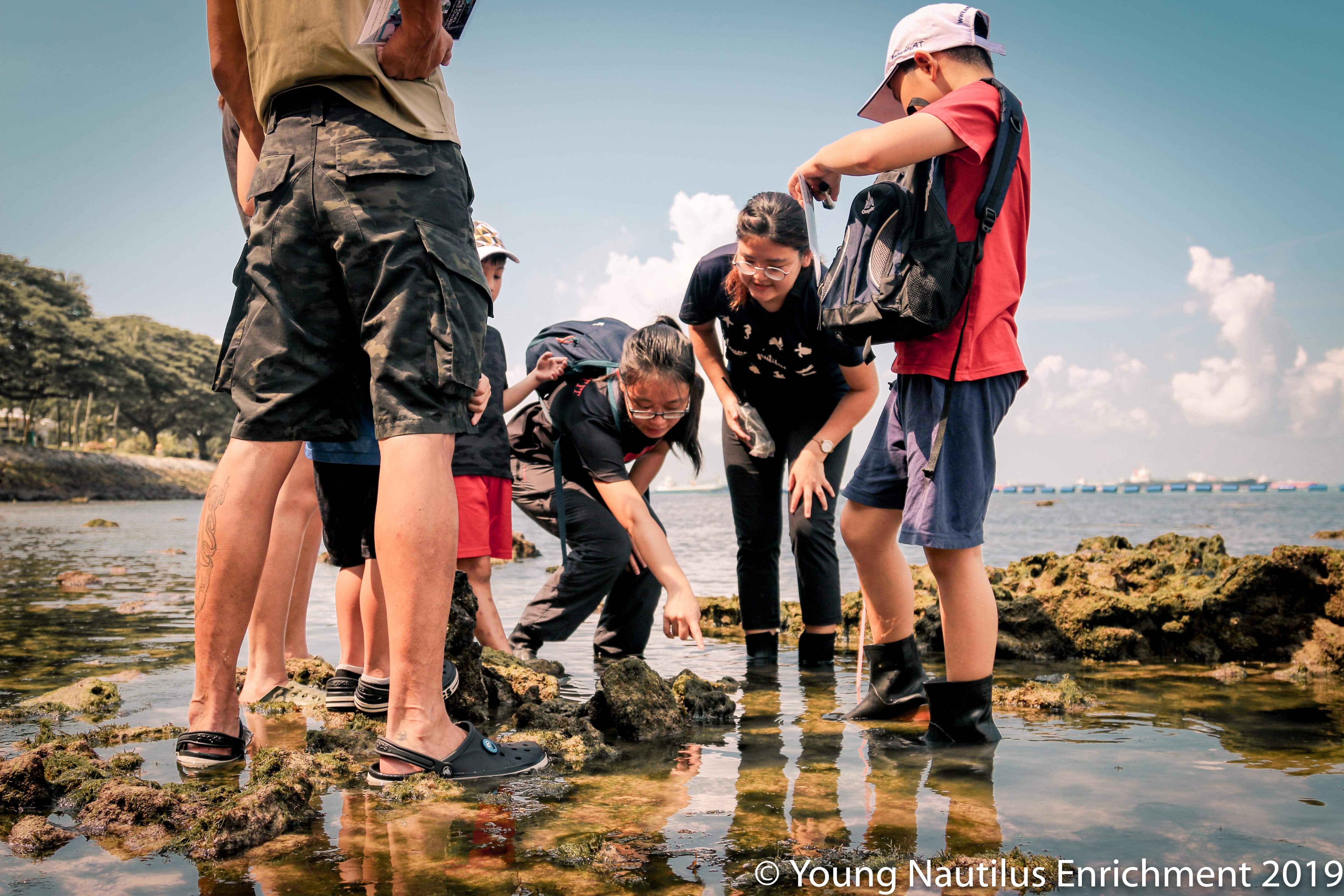 Young Nautilus Nature Walks: Unravelling Wildlife Mysteries - HolidaySG