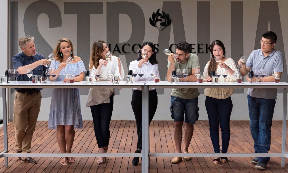 Vineyard Tour and Wine Tasting Private Group Experience