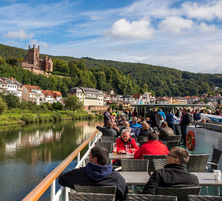 Heidelberg: Riverboat Tour to Neckarsteinach with Drinks
