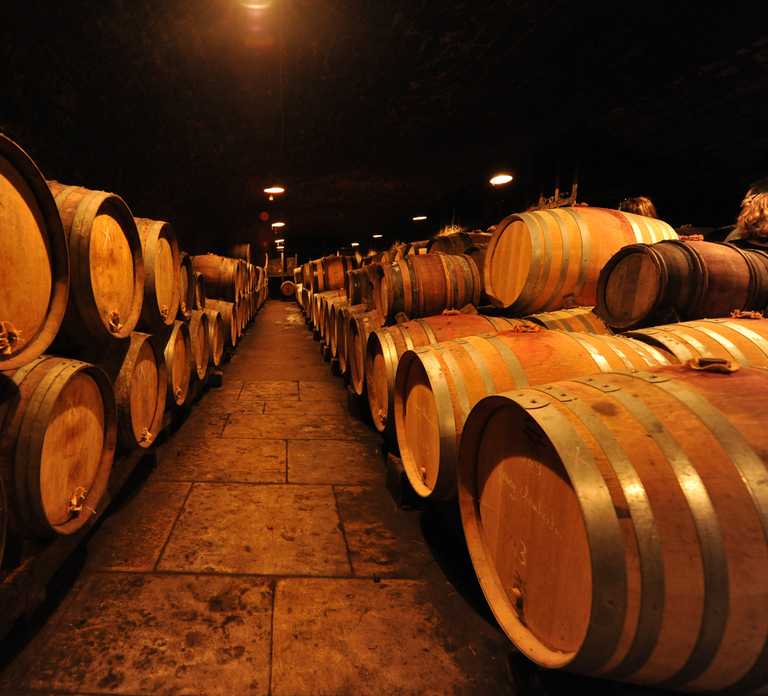 Burgundy Wines Full-Day Tasting Tour from Dijon