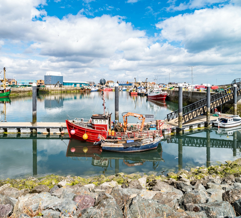 Dublin Great Famine Tour with Fast-Track EPIC Museum Tickets