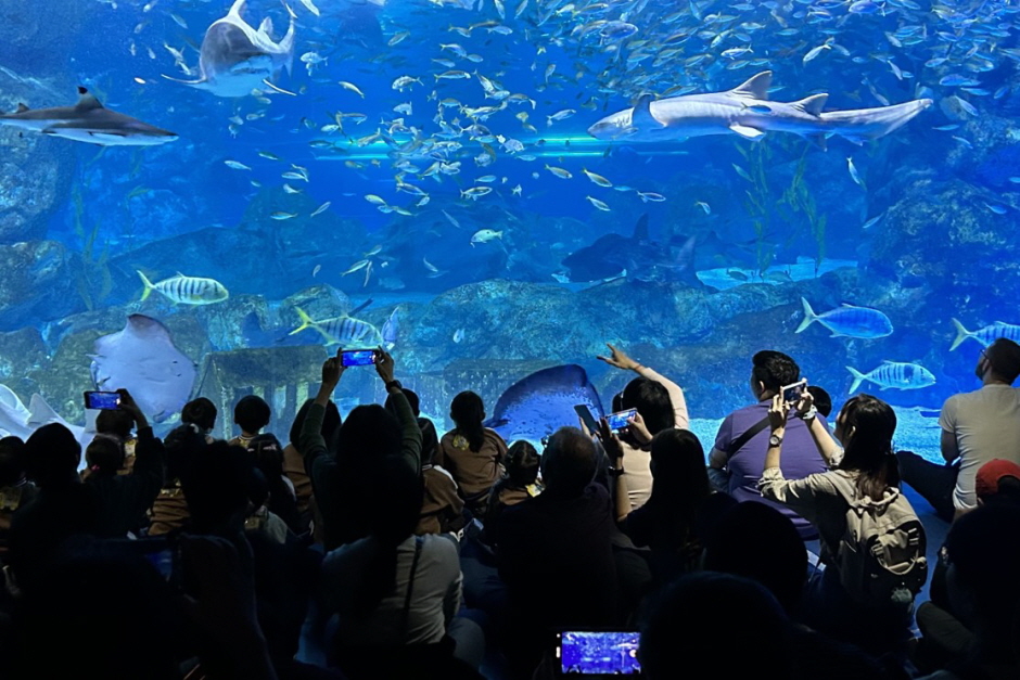 [Non-Korean] [Seoul] COEX Aquarium Discount Admission Ticket - HolidaySG